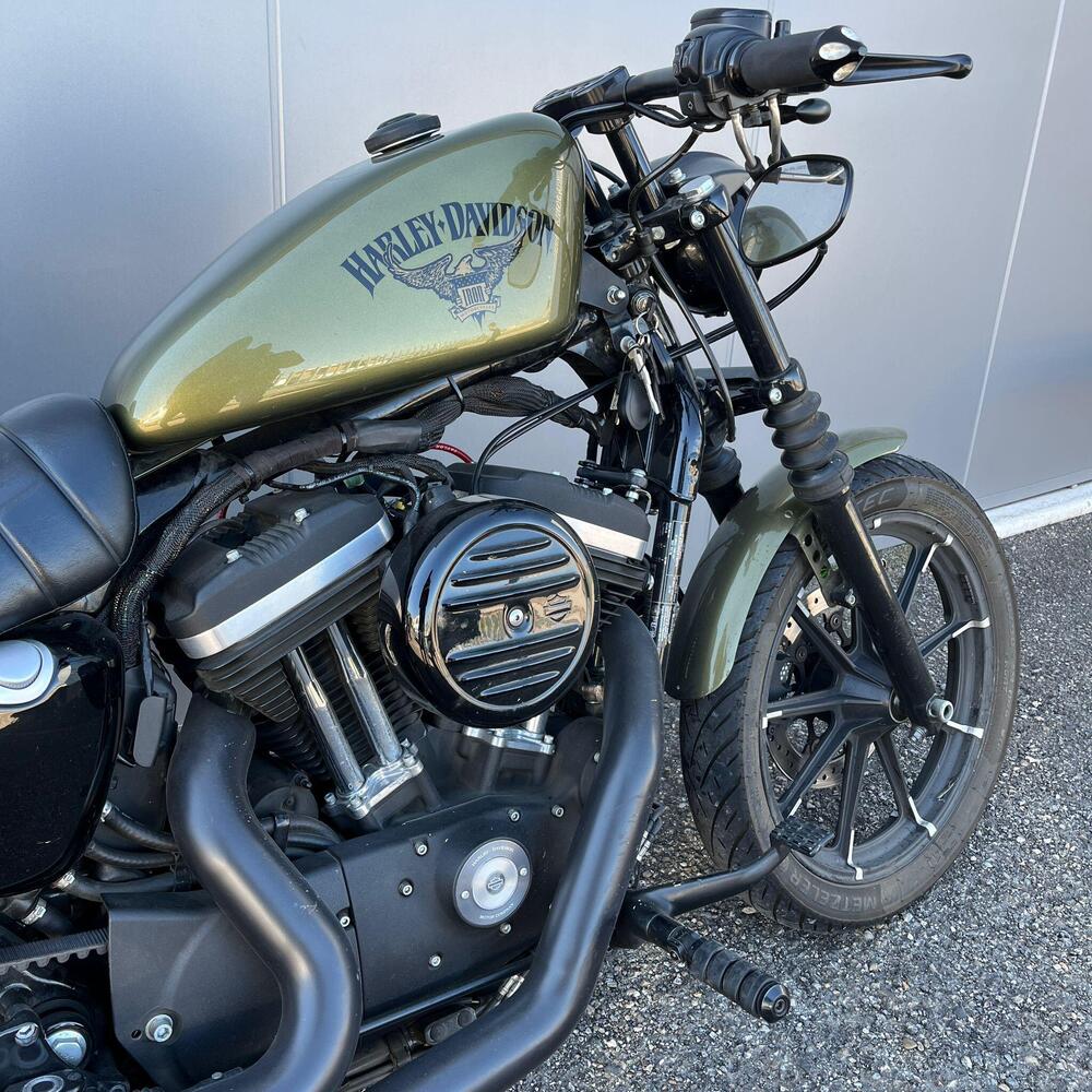 Harley-Davidson 883 Iron (2017 - 20) - XL 883N (21)