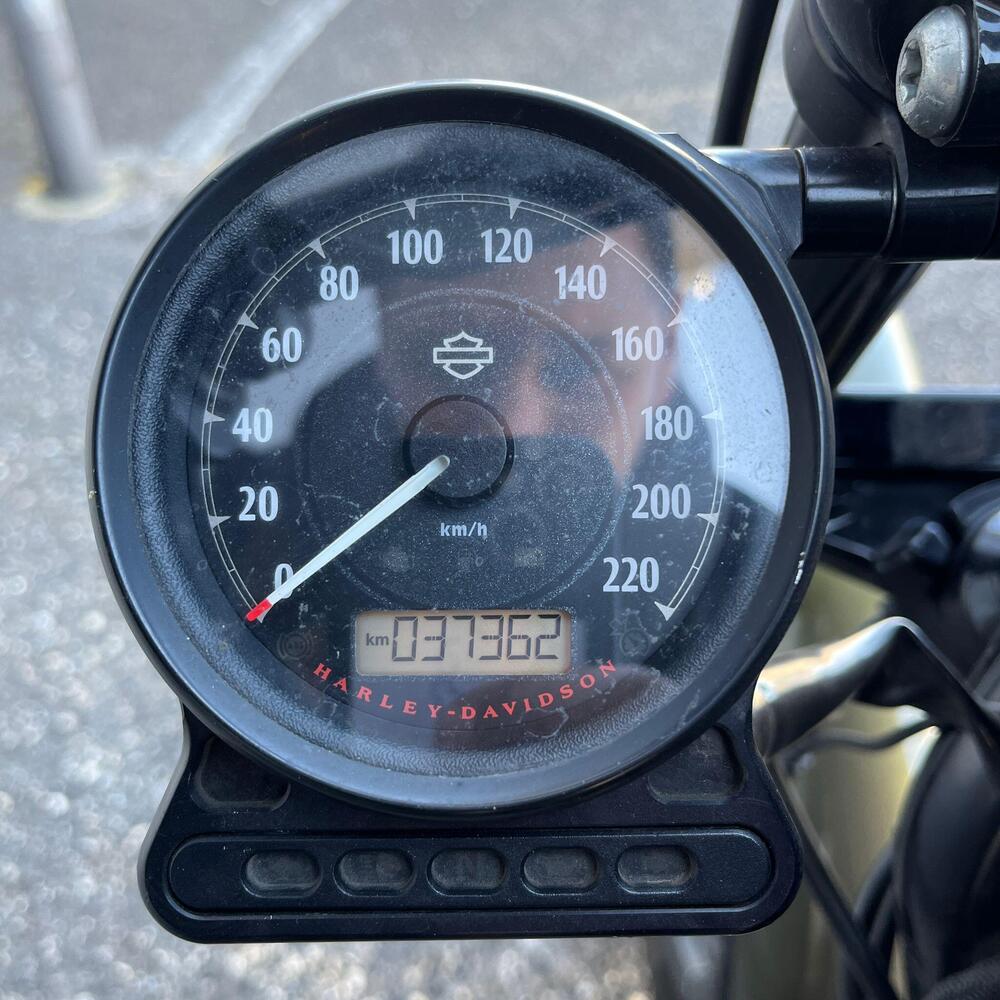 Harley-Davidson 883 Iron (2017 - 20) - XL 883N (18)