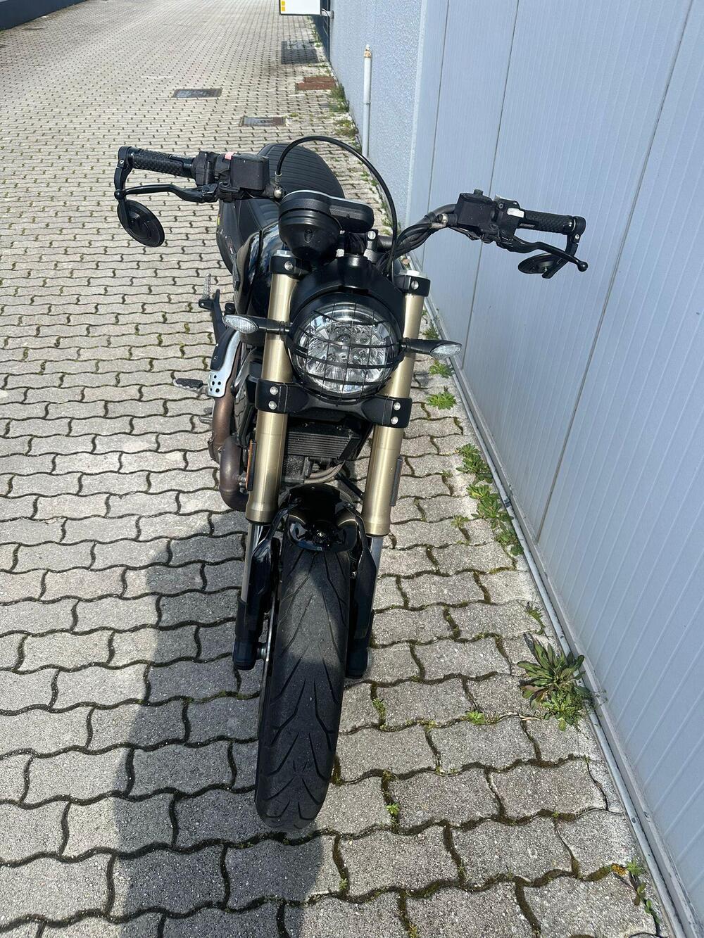 Ducati Scrambler 1100 (2018 - 20) (10)