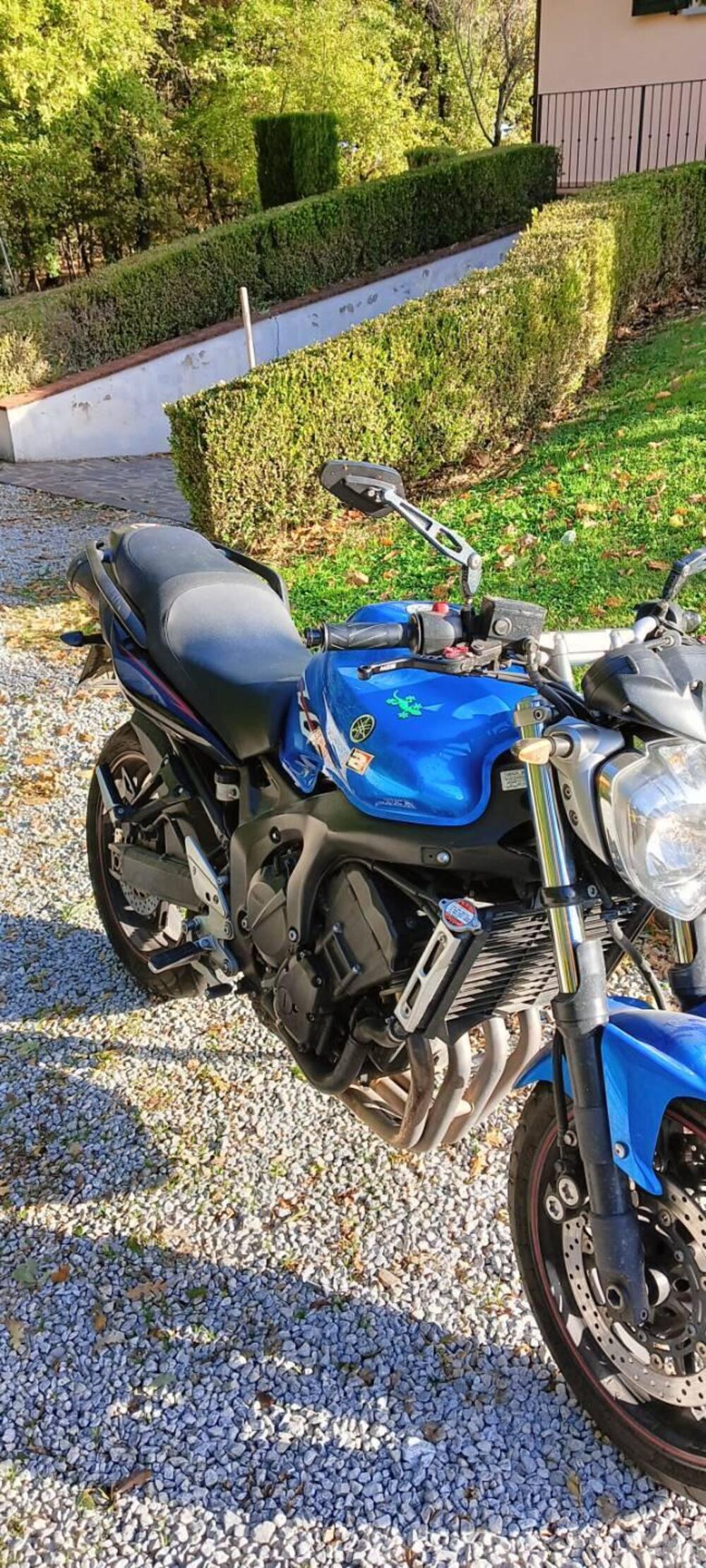 Yamaha FZ6 S2 (2007 - 11) (9)