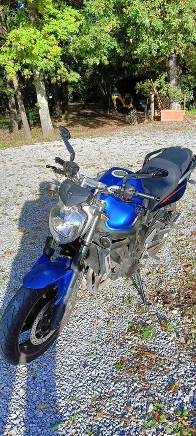 Yamaha FZ6 S2 (2007 - 11) usata