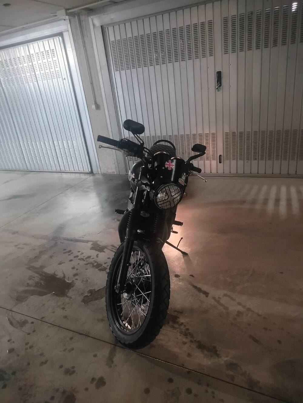 Triumph Bonneville T100 (2008 - 16) (3)