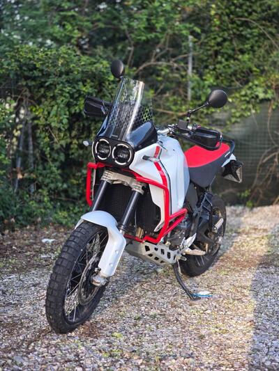 Ducati DesertX (2022 - 25) usata