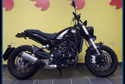 Benelli Leoncino 500 (2021 - 25) usata