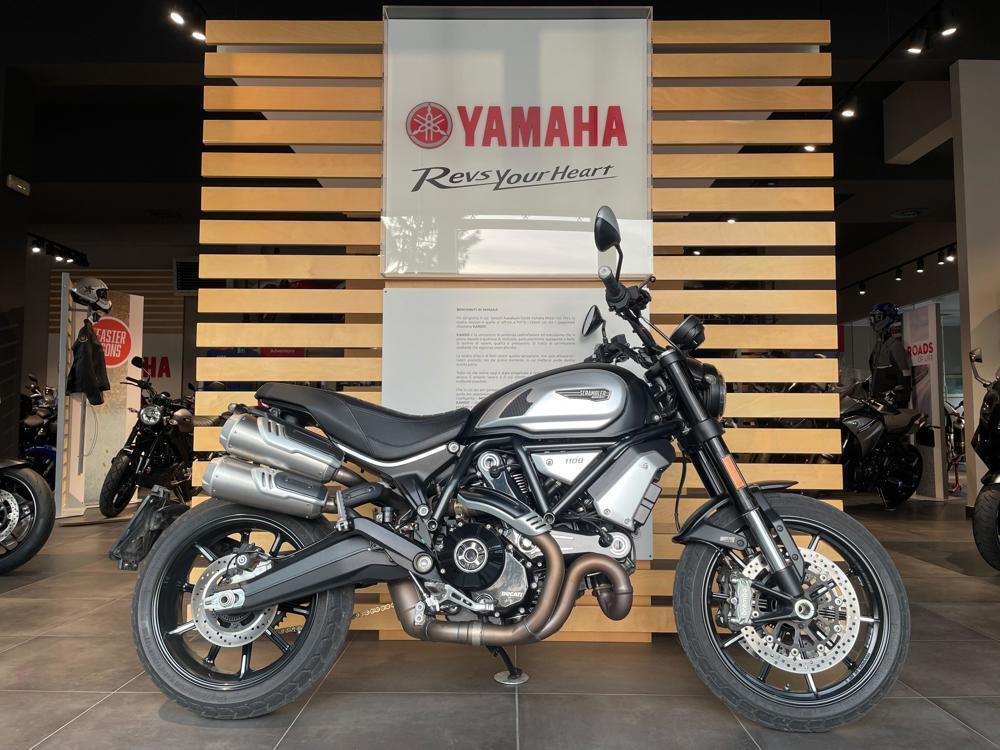 Ducati Scrambler 1100 Pro (2020 - 22)