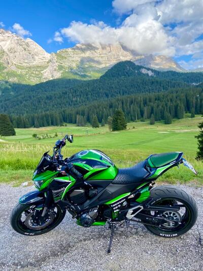 Kawasaki Z 800 (2012 - 13) usata