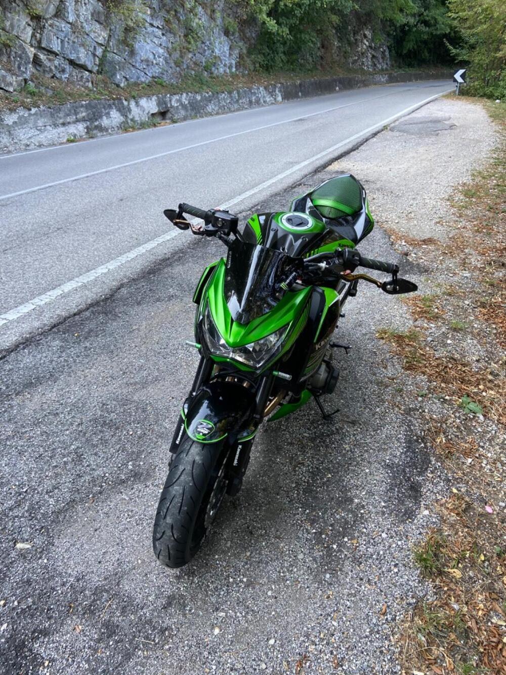 Kawasaki Z 800 (2012 - 13) (3)