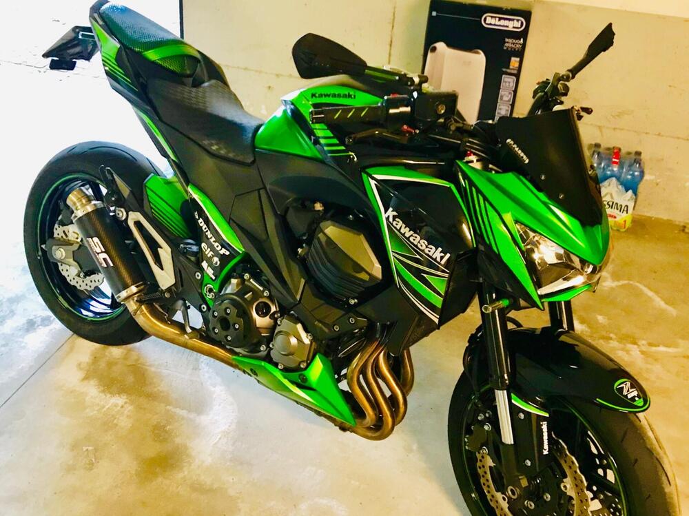 Kawasaki Z 800 (2012 - 13) (5)