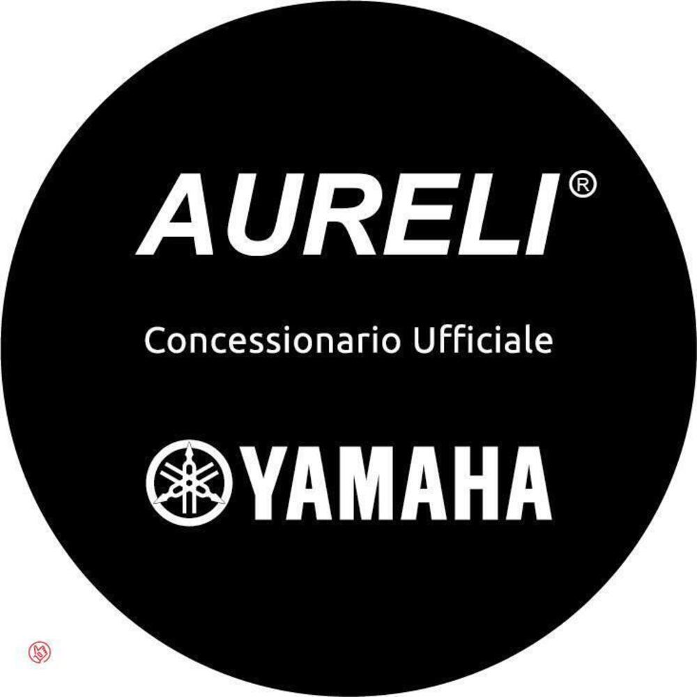 Yamaha Tricity 125 (2022 - 24) (9)