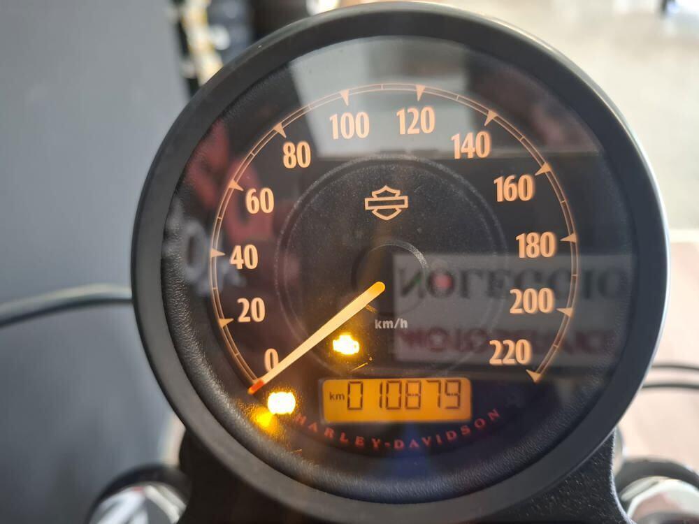 Harley-Davidson 883 Iron (2017 - 20) - XL 883N (7)