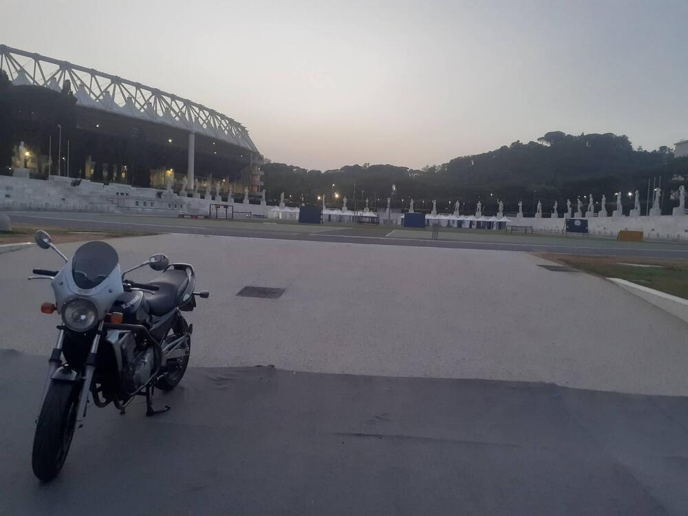 Kawasaki ER-5 500 (2001 - 06) (5)