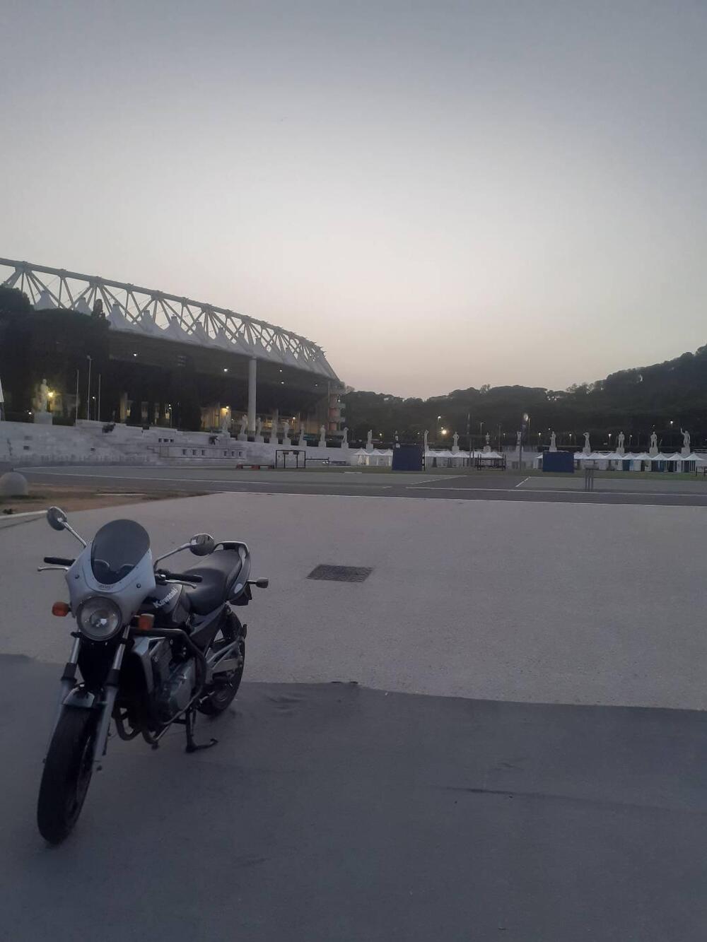 Kawasaki ER-5 500 (2001 - 06) (6)