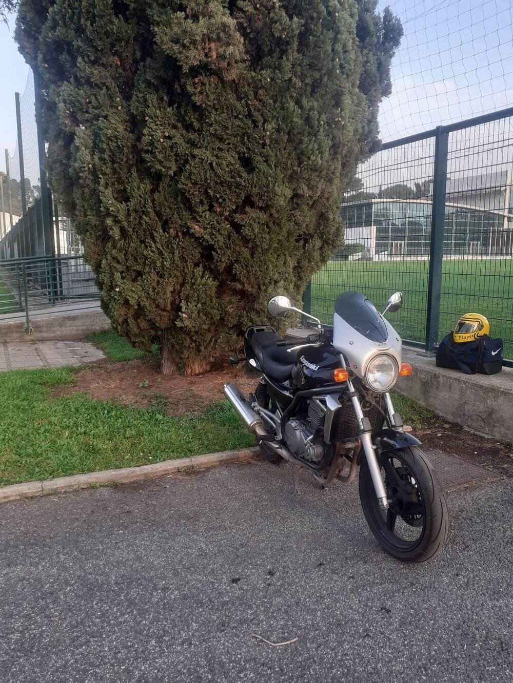 Kawasaki ER-5 500 (2001 - 06) (8)