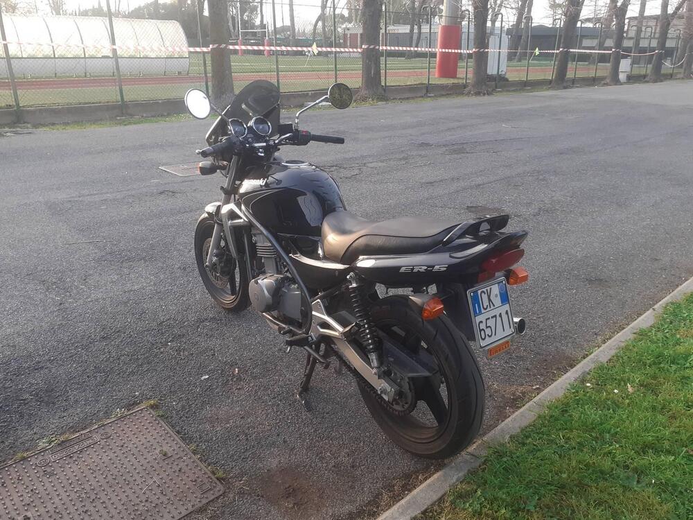 Kawasaki ER-5 500 (2001 - 06) (4)
