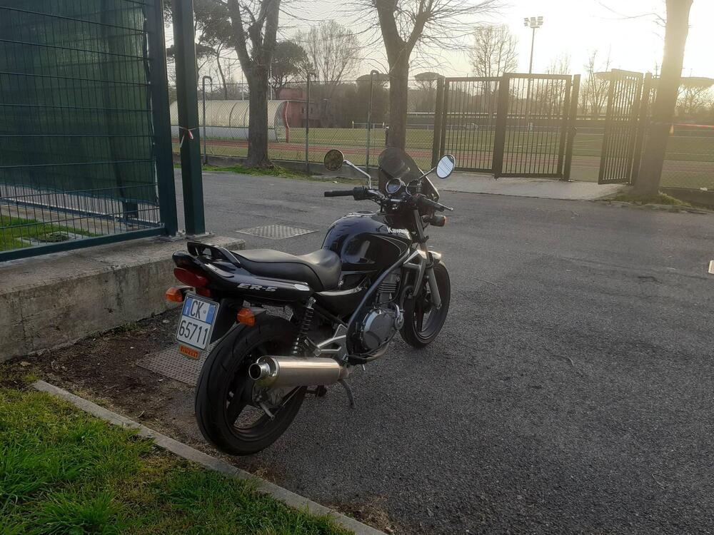 Kawasaki ER-5 500 (2001 - 06) (9)