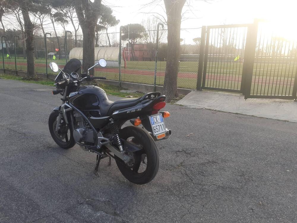 Kawasaki ER-5 500 (2001 - 06) (3)