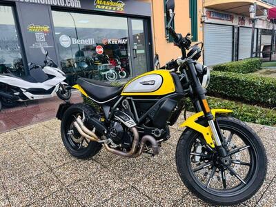 Ducati Scrambler 800 Icon (2017 - 20) usata