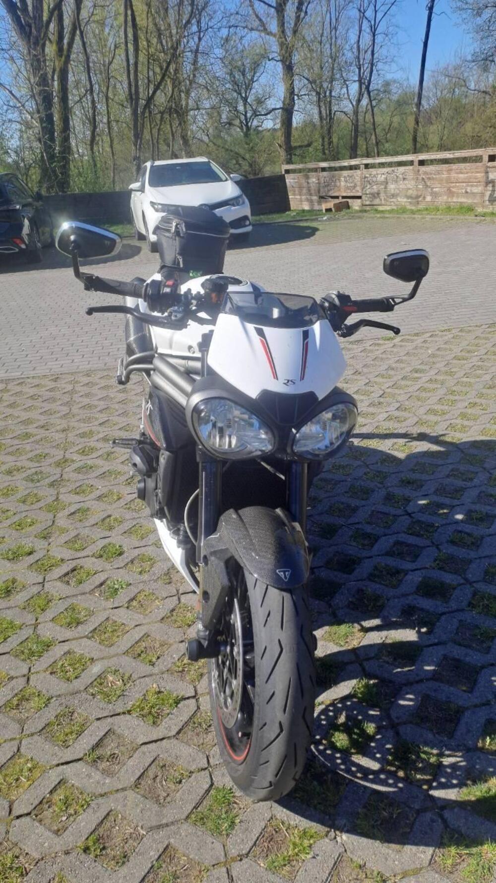 Triumph Speed Triple 1050 RS (2018 - 20) (5)