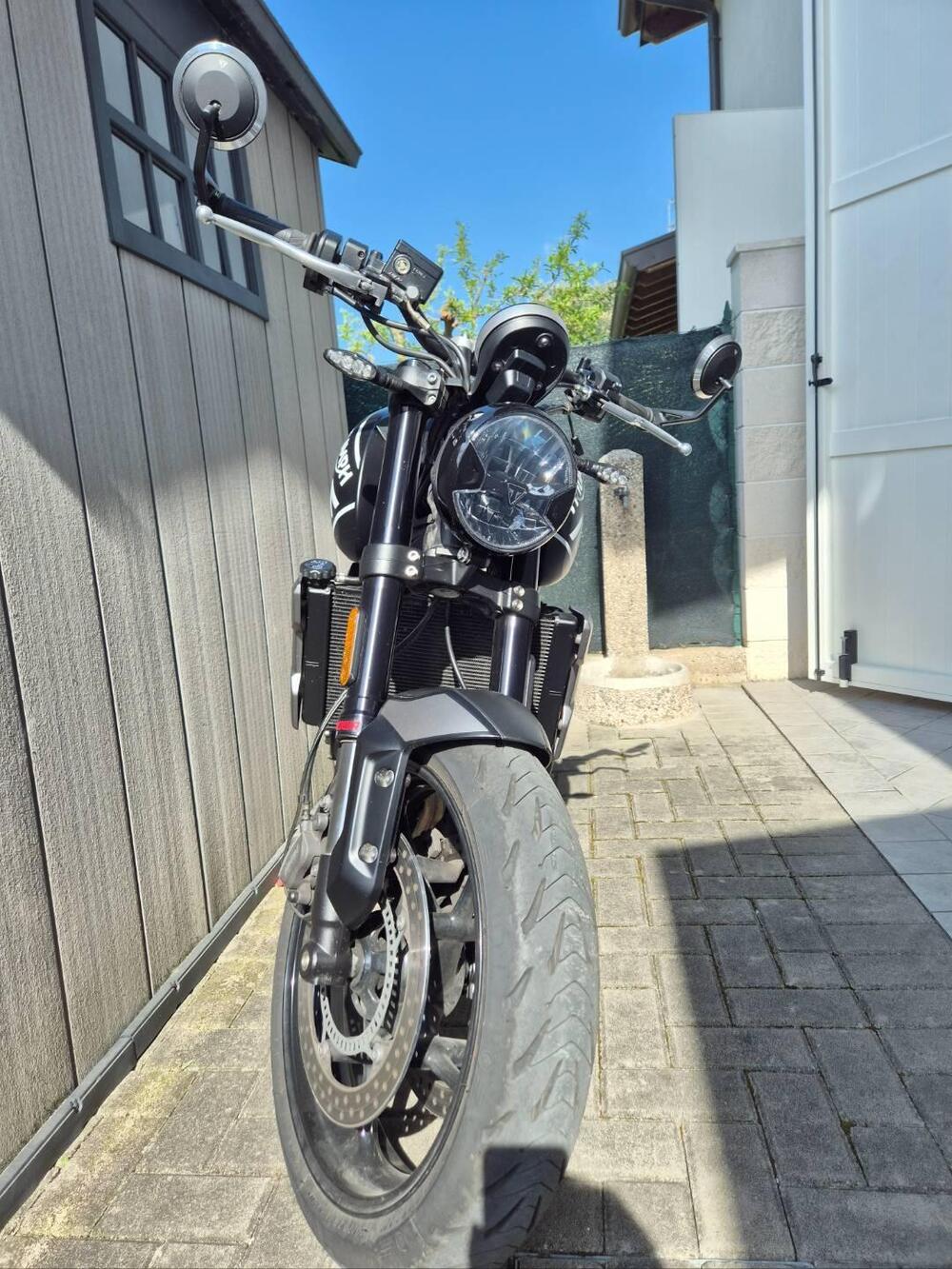 Triumph Trident 660 (2021 - 24) (2)