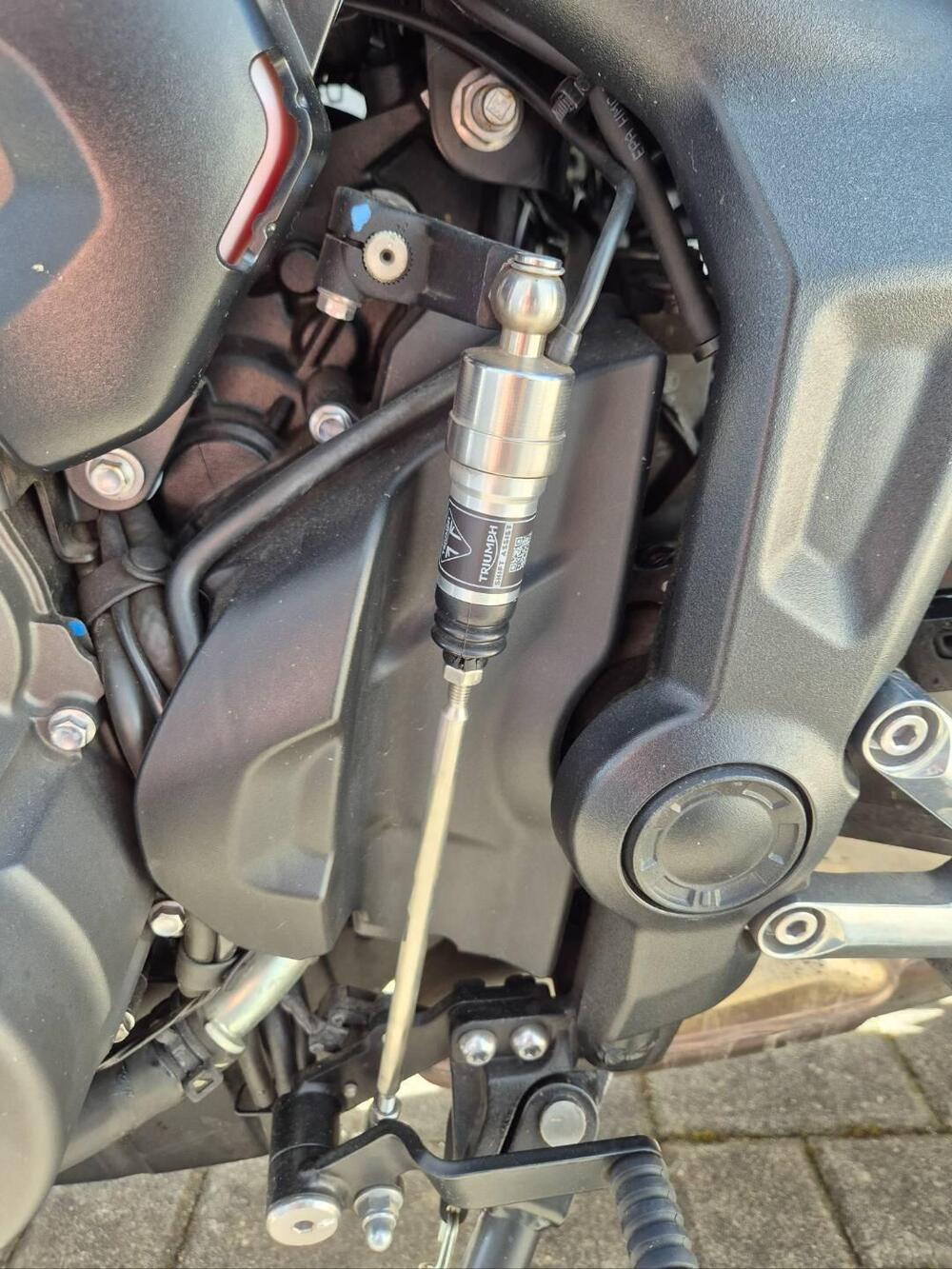 Triumph Trident 660 (2021 - 24) (7)