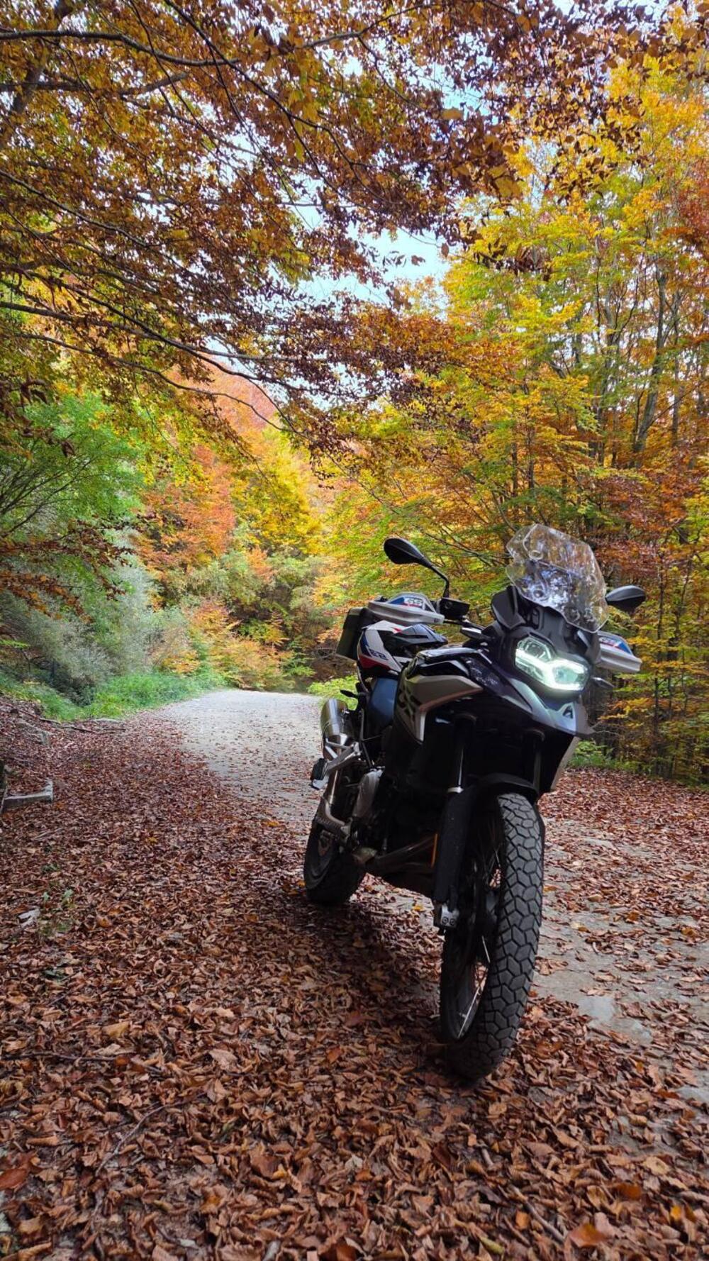 Bmw F 850 GS (2021 - 24) (6)