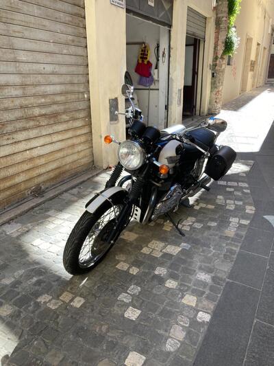 Triumph Bonneville T100 (2008 - 16) usata