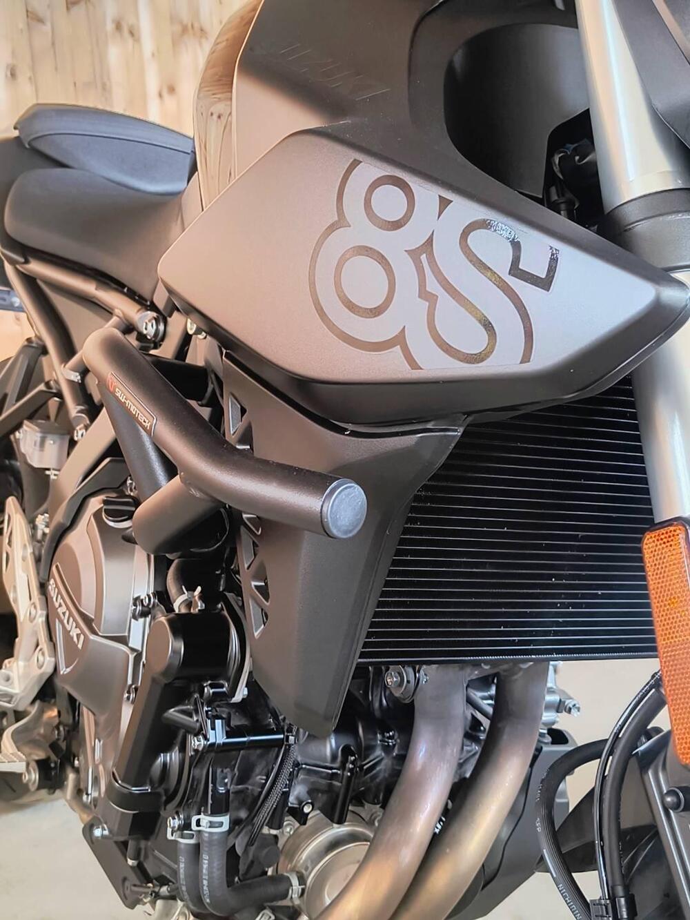 Suzuki GSX-8S (2023 - 24) (5)