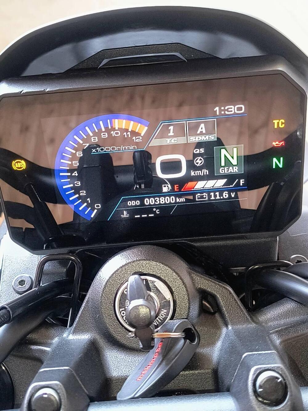 Suzuki GSX-8S (2023 - 24) (6)