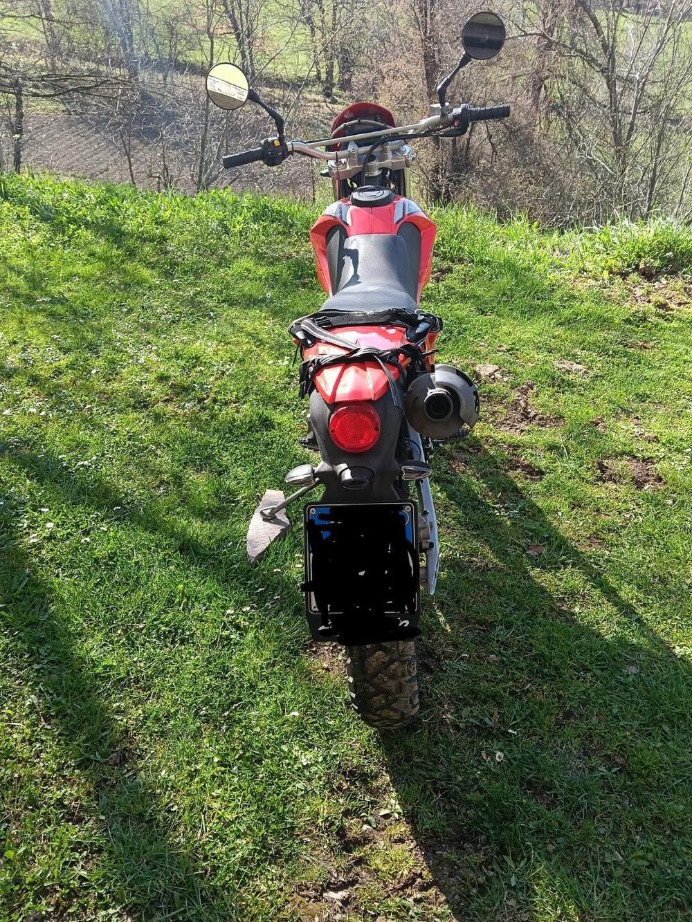 Betamotor Alp 4.0 (2006 - 08) (2)