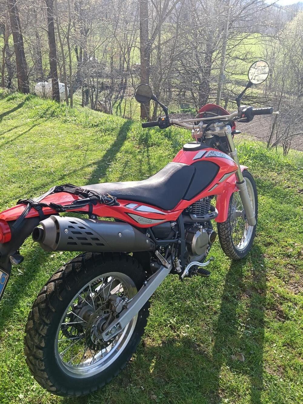 Betamotor Alp 4.0 (2006 - 08) (4)