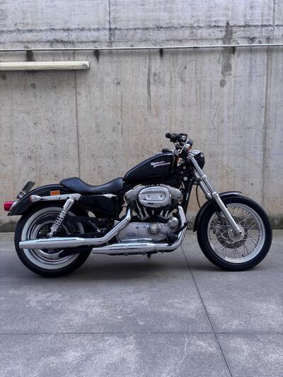 Harley-Davidson 883 Low (2008 - 12) - XL 883L usata