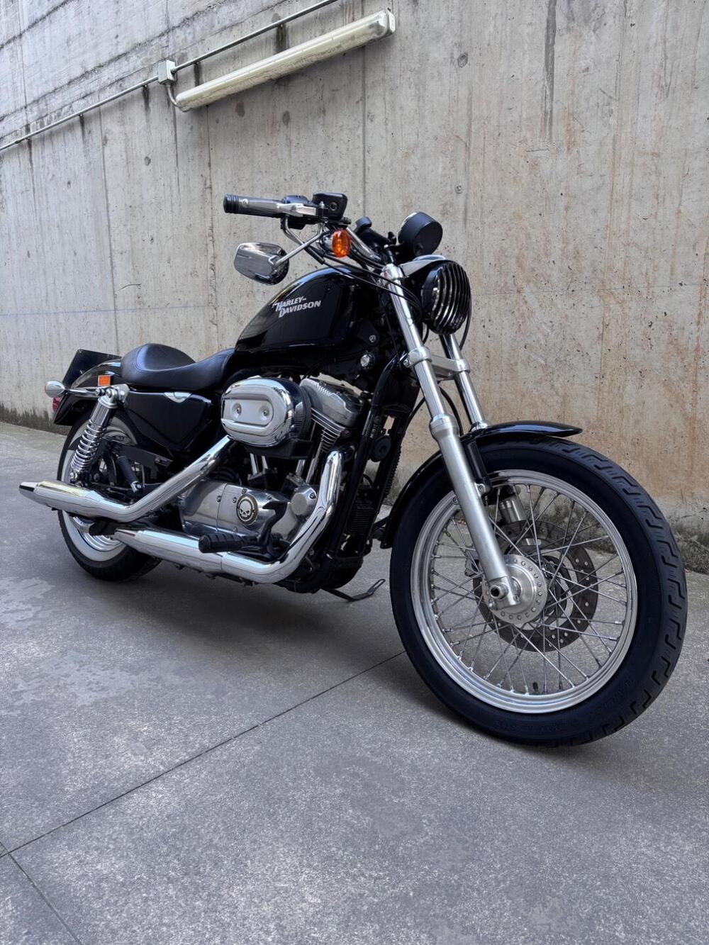 Harley-Davidson 883 Low (2008 - 12) - XL 883L (2)