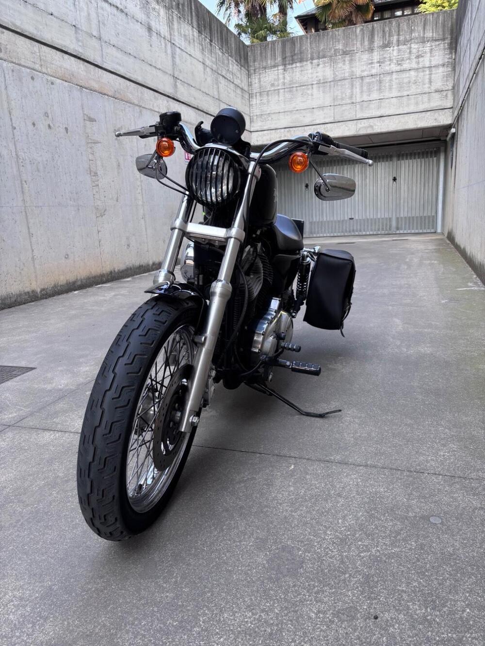 Harley-Davidson 883 Low (2008 - 12) - XL 883L (3)