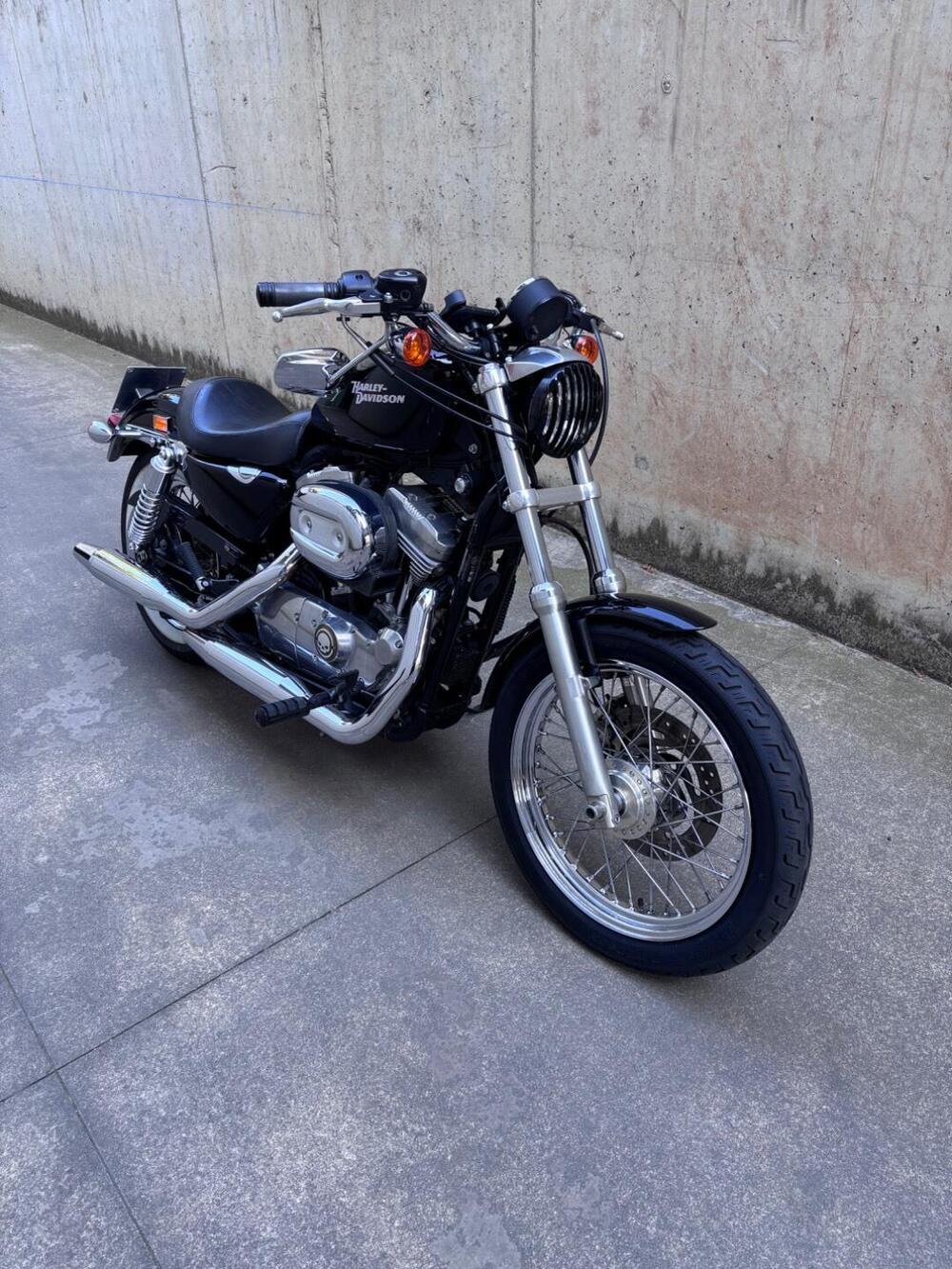 Harley-Davidson 883 Low (2008 - 12) - XL 883L (6)