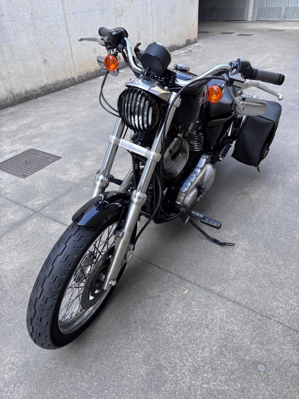 Harley-Davidson 883 Low (2008 - 12) - XL 883L (7)