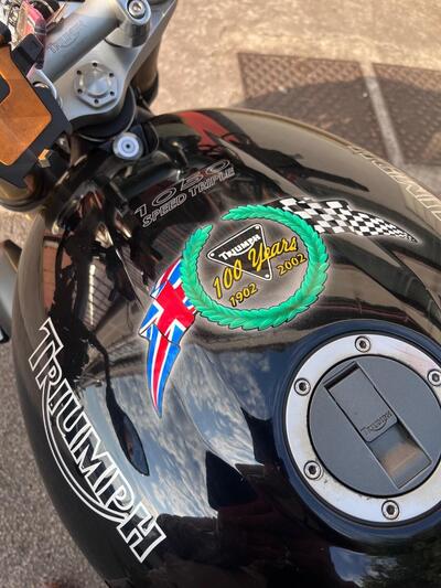 Triumph Speed Triple 1050 (2005 - 11) usata