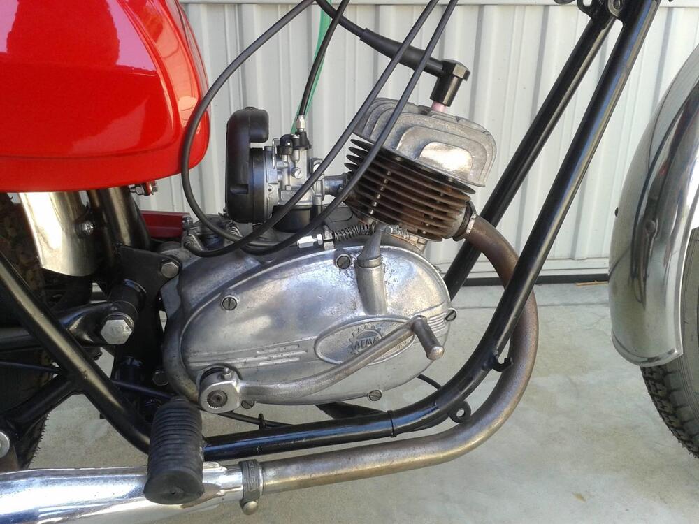 Demm Special Sport America (7)