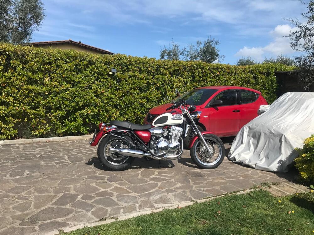 Triumph Thunderbird 900 (2002) (2)