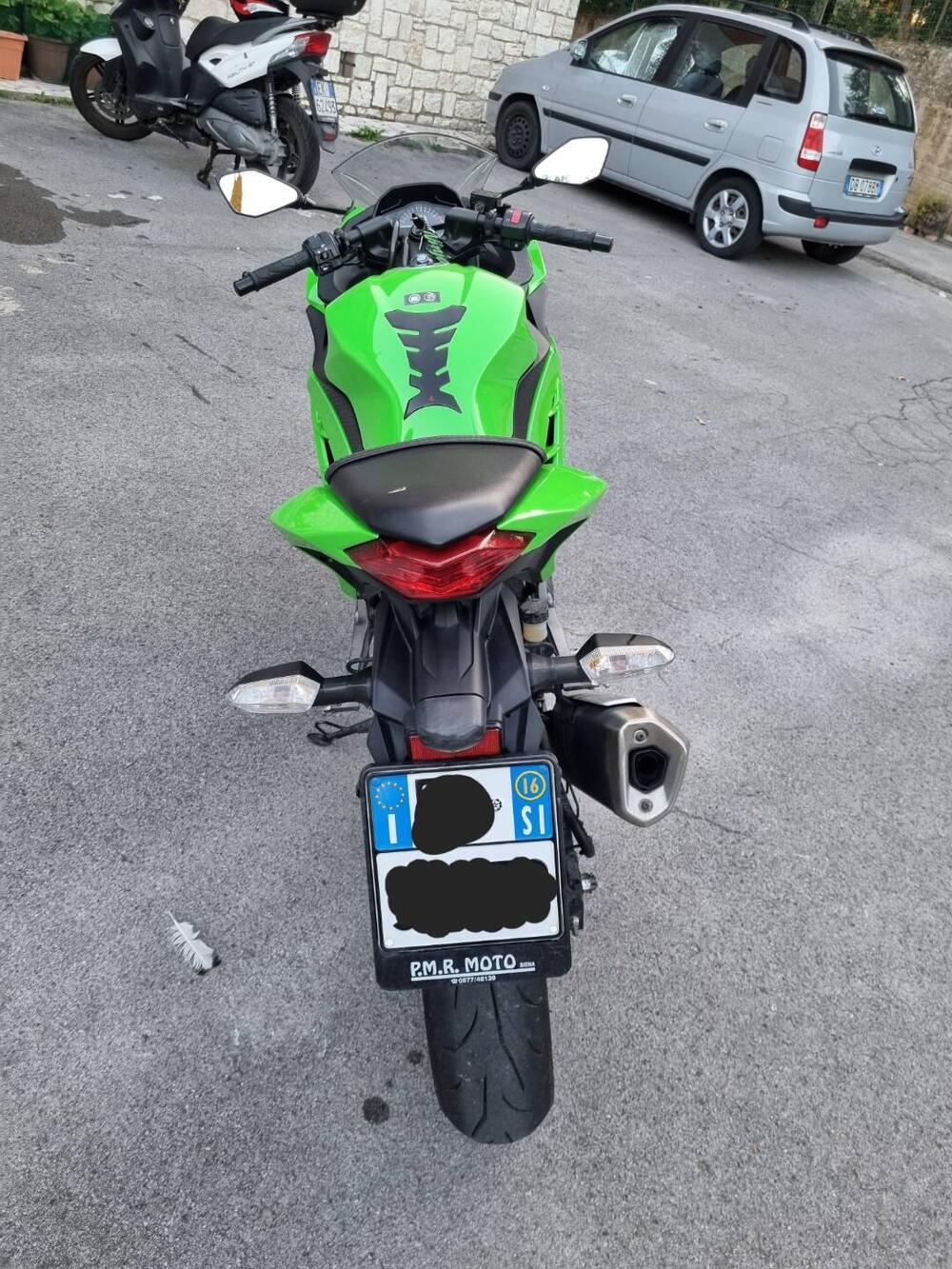 Kawasaki Ninja 300 ABS (2012 - 16) (5)