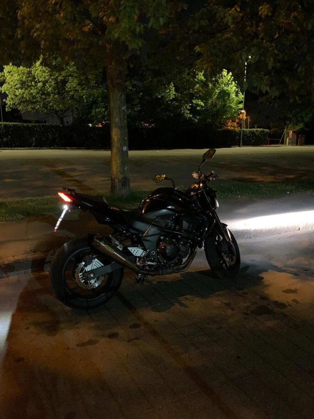 Kawasaki Z 750 (2007 - 14) (15)