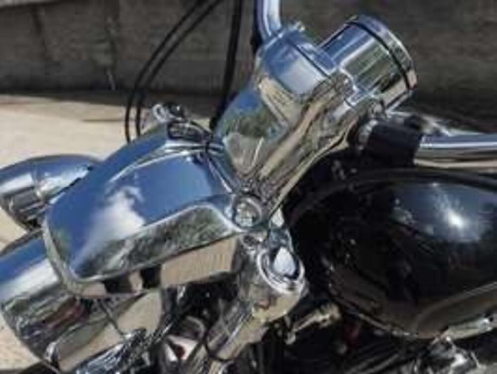 Harley-Davidson 1200 Custom (2007 - 13) - XL 1200C (5)