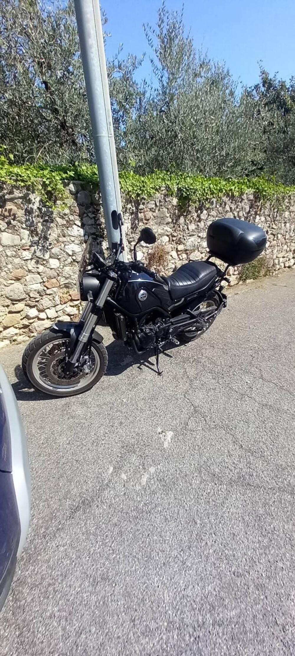 Benelli Leoncino 500 Trail (2021 - 26) (3)