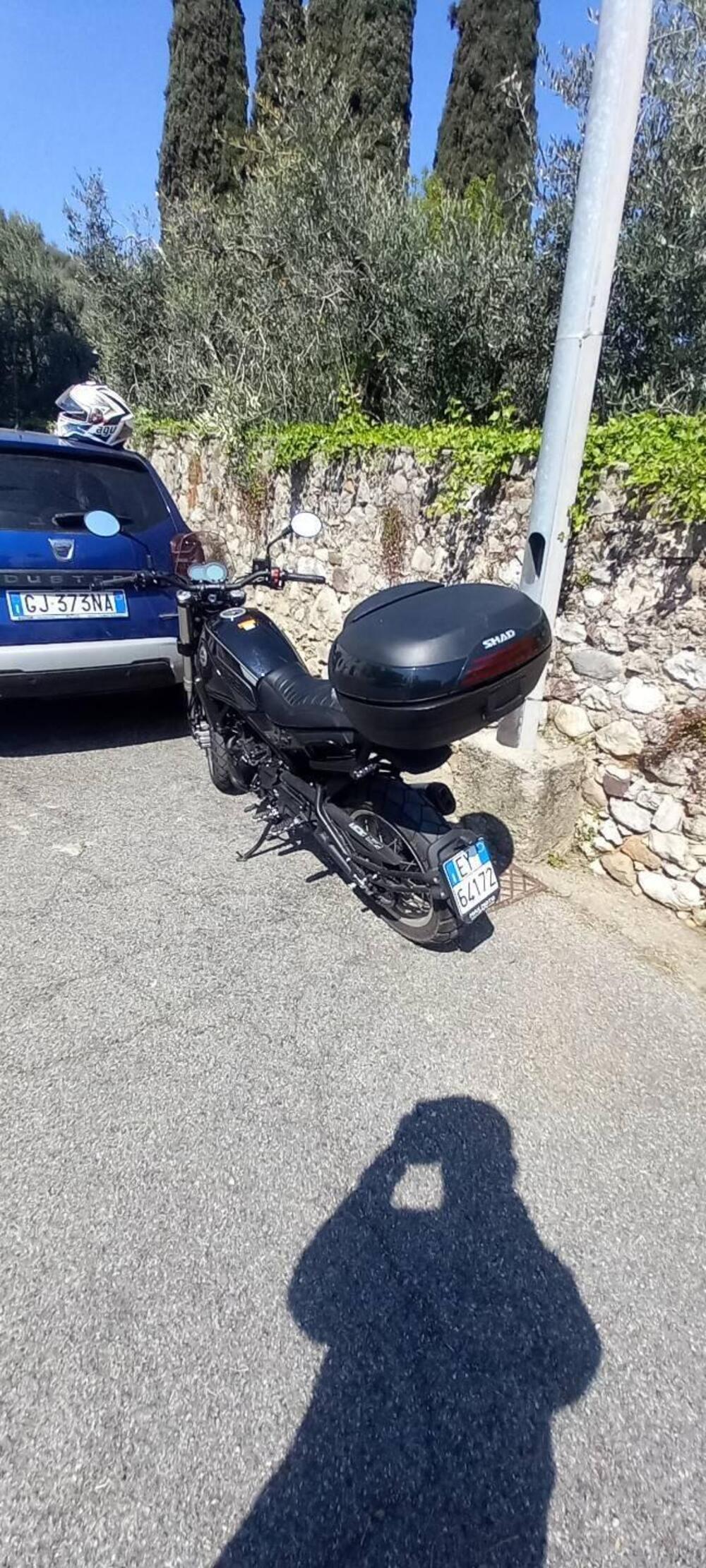 Benelli Leoncino 500 Trail (2021 - 26) (4)