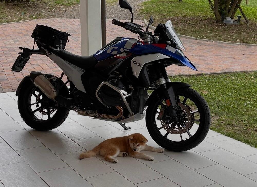 Bmw R 1300 GS Trophy (2023 - 26) (4)