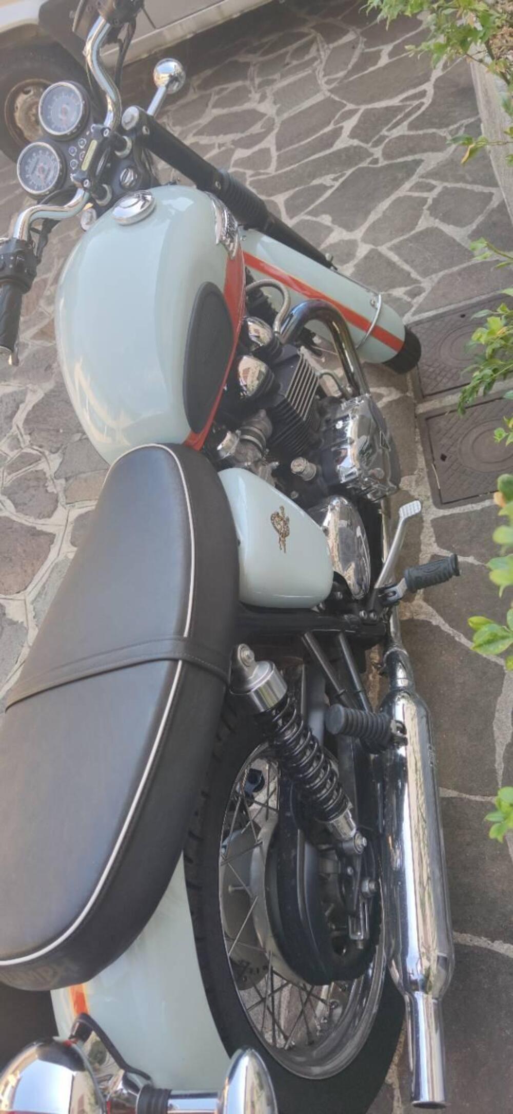 Triumph Bonneville T100 50th Anniversary (2009) (2)