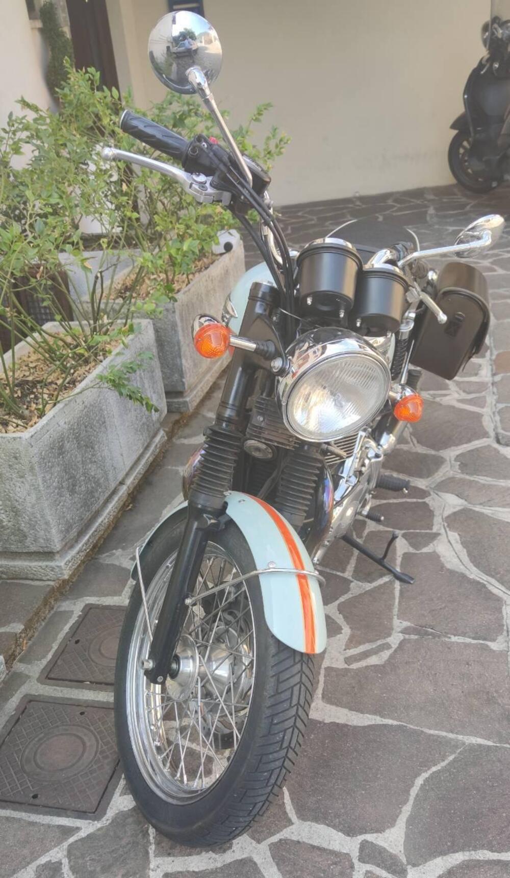 Triumph Bonneville T100 50th Anniversary (2009) (3)