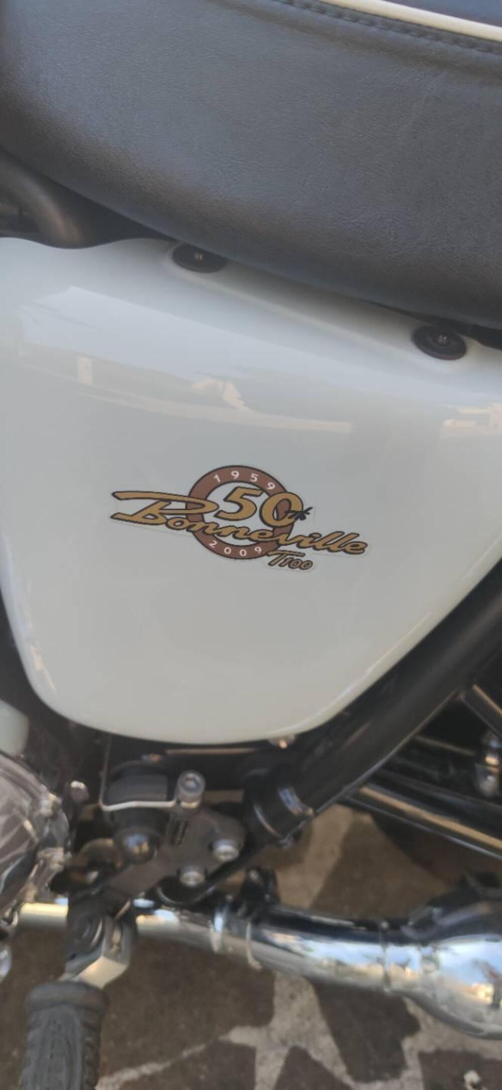 Triumph Bonneville T100 50th Anniversary (2009) (4)