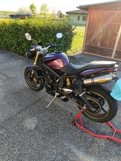 Triumph Street Triple (2007 - 12) usata