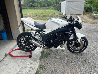 Triumph Speed Triple 1050 (2005 - 11) usata