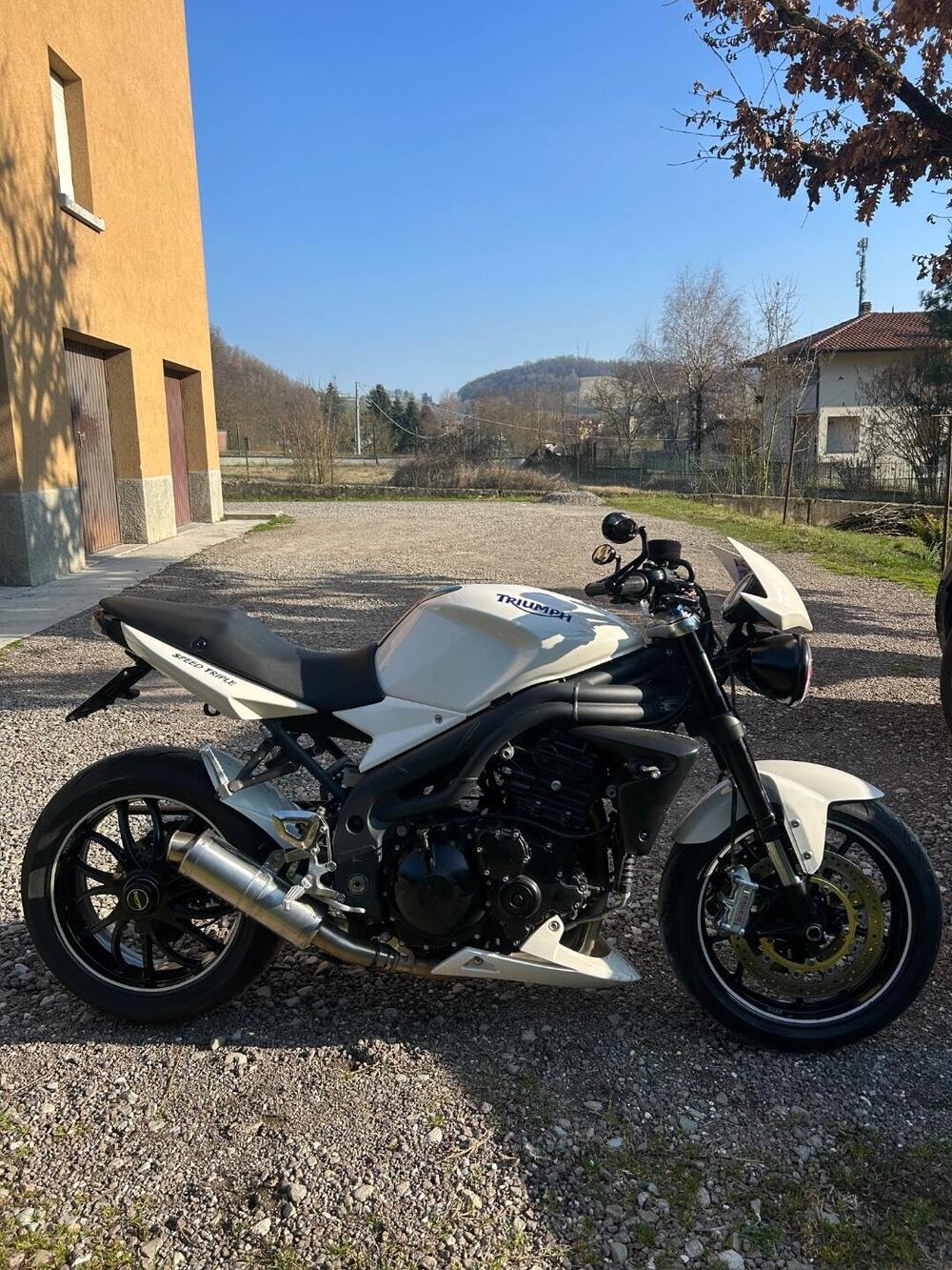 Triumph Speed Triple 1050 (2005 - 11) (3)